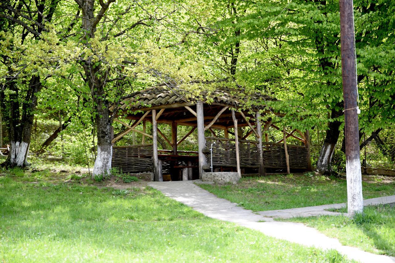 Nikala Bed & Breakfast Telavi Eksteriør bilde