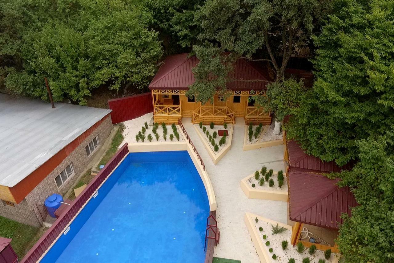 Nikala Bed & Breakfast Telavi Eksteriør bilde