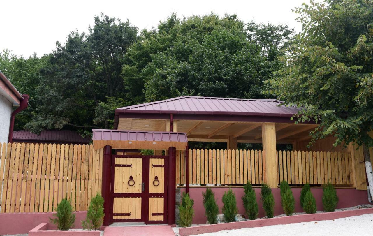 Nikala Bed & Breakfast Telavi Eksteriør bilde